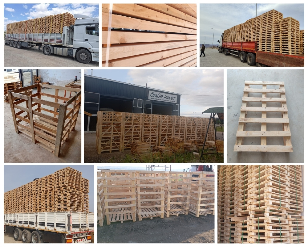 Bergschenhoek Houten Kisten, Europallets Groothandel Kopen